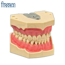 Tipodonto Frasaco AG-3