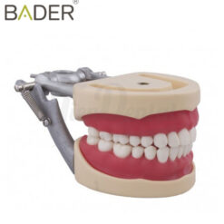 Tipodonto compatible Columbia 860 y Nissin adulto Bader