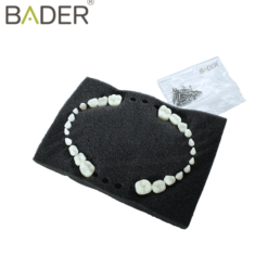 Dientes reposición para tipodonto tipo AG-3