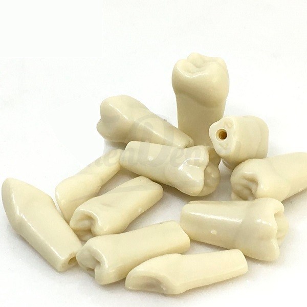 Dientes para Tipodonto Infantil Frasaco AK-6