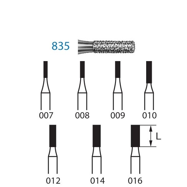 835.314 Fresa Diamante Turbina 5 Uds