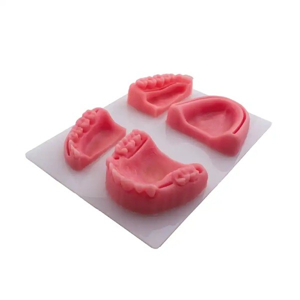 Modelo para práctica de sutura siliconado Bader