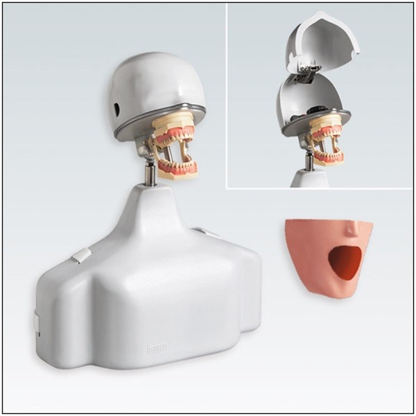 PK-1 TSE Dispositivo para Ejercicios Odontológicos Frasaco