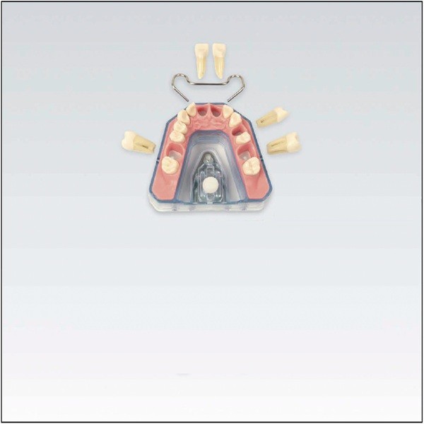 Modelo AREEMOKZ3RN903 superior (235264)