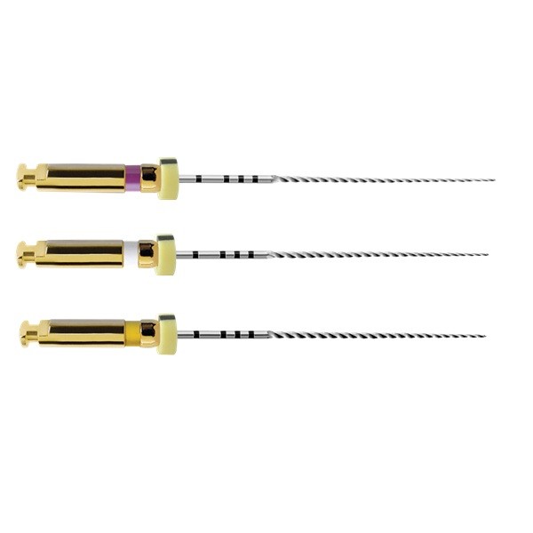 Limas Pathfile Dentsply 6 uds