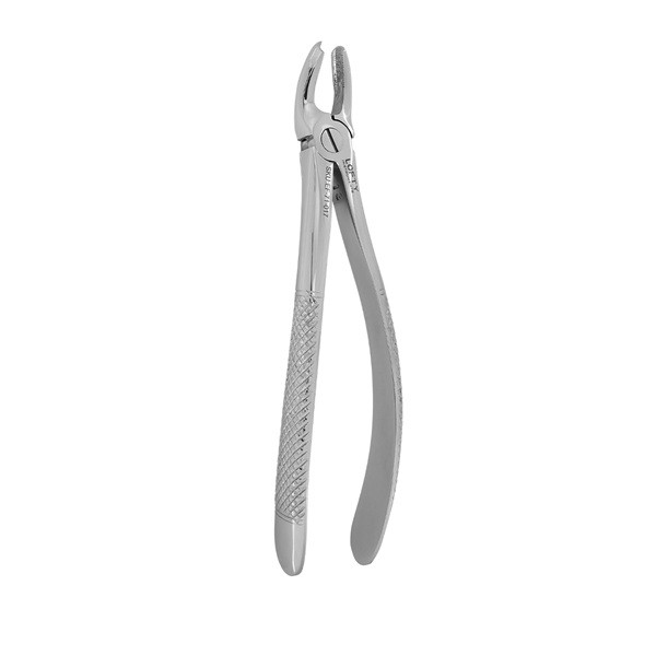 Fórceps Figura 17 LOFTY