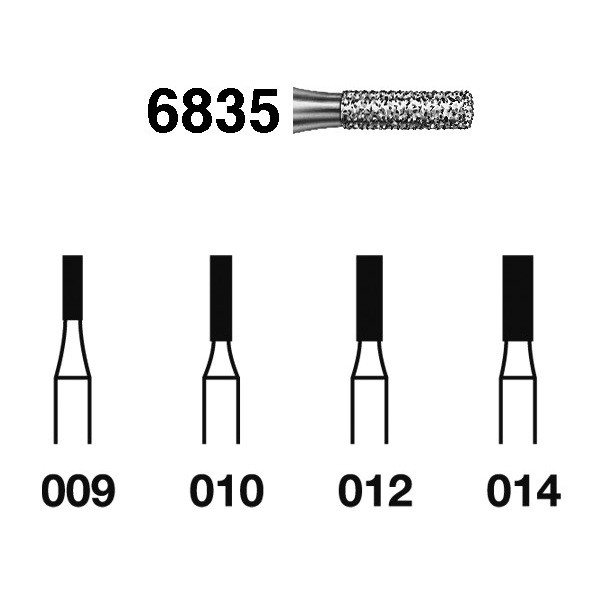 6835.314 Fresa Diamante Turbina 5 Uds