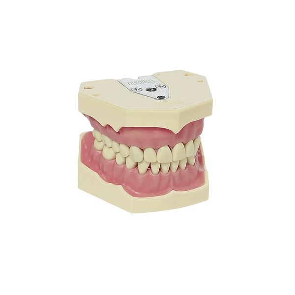 Tipodonto Frasaco AG-3