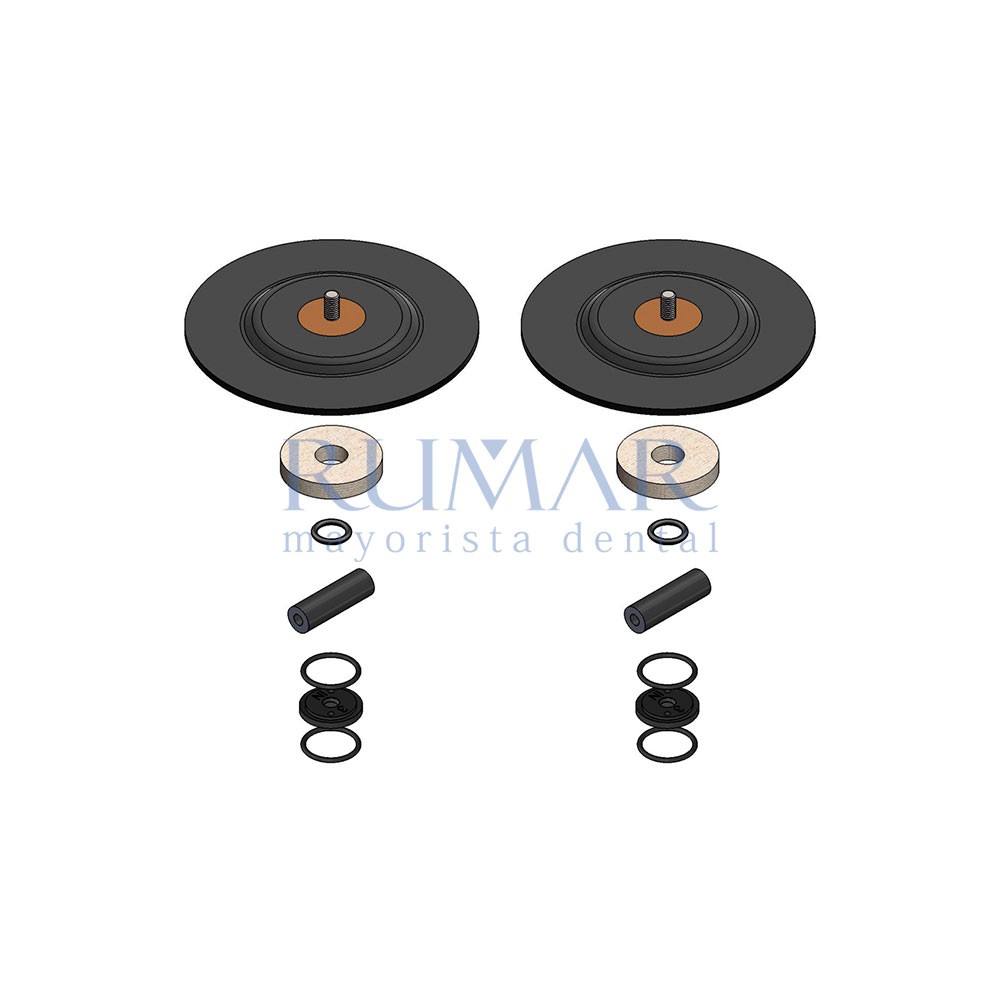 Kit completo de mantenimiento para Bomba de Vacío EVO30