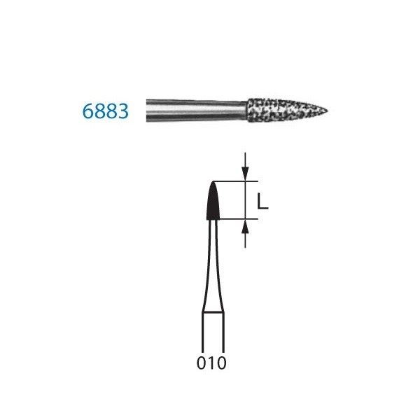 6883.314.010 Fresa Diamante Turbina 5 Uds