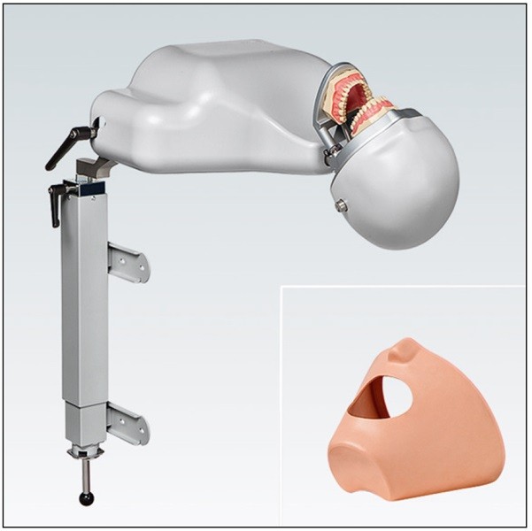 P-6/3 TL Dispositivo para Ejercicios Odontológicos Frasaco