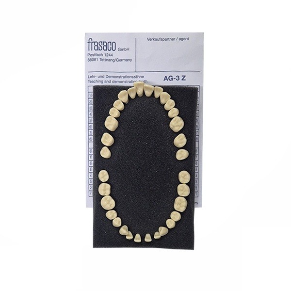 AG3Z Juego 32 Dientes para Tipodonto Frasaco AG-3