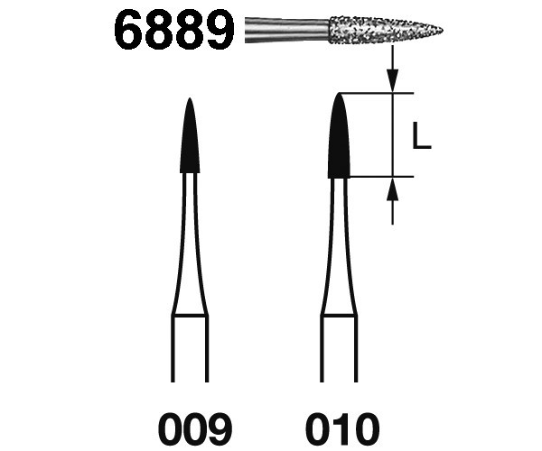 6889.314.009 Fresa Diamante Turbina 5 Uds