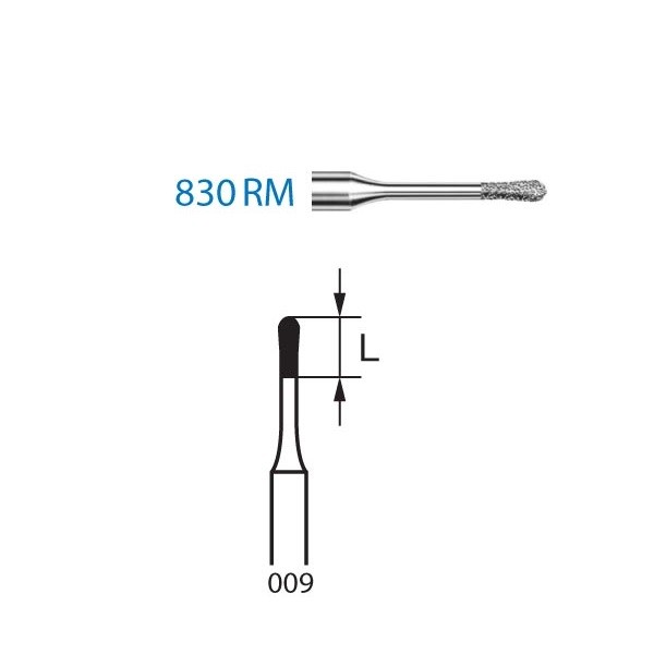 830RM.314.009 Fresa Diamante Turbina 5 Uds