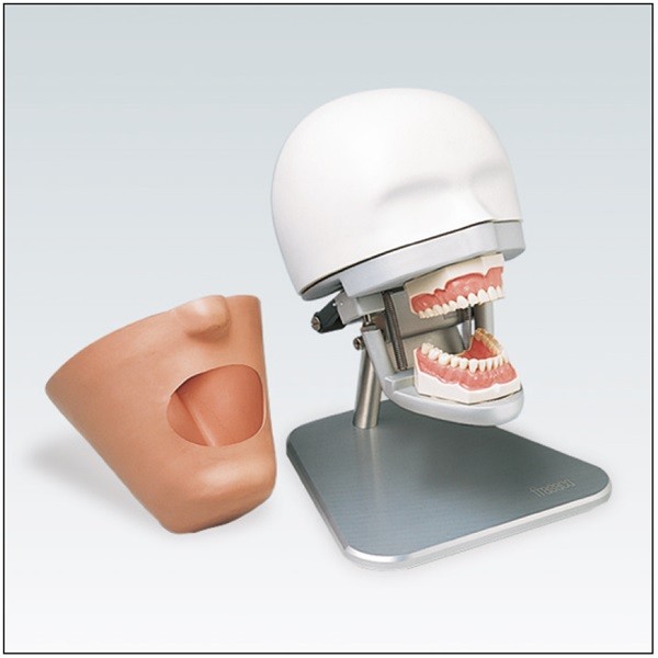 P-6/3 PA Dispositivo para Ejercicios Odontológicos Frasaco