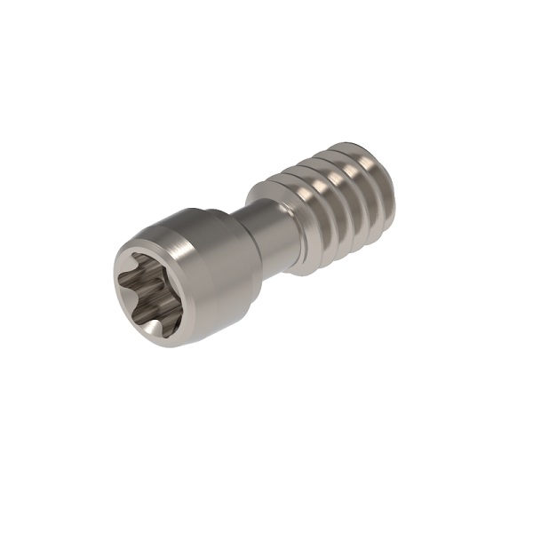 Tornillos Torx